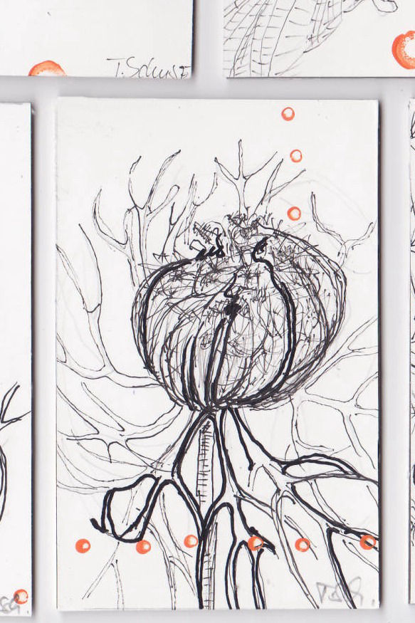 Eine Schachtel bekommt Zebrastreifen