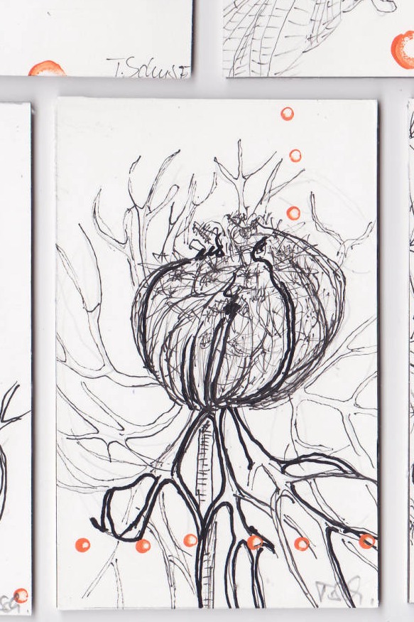 Eine Schachtel bekommt Zebrastreifen